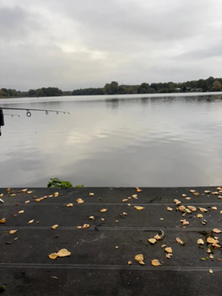 Lanzer See (Basedow) angeln