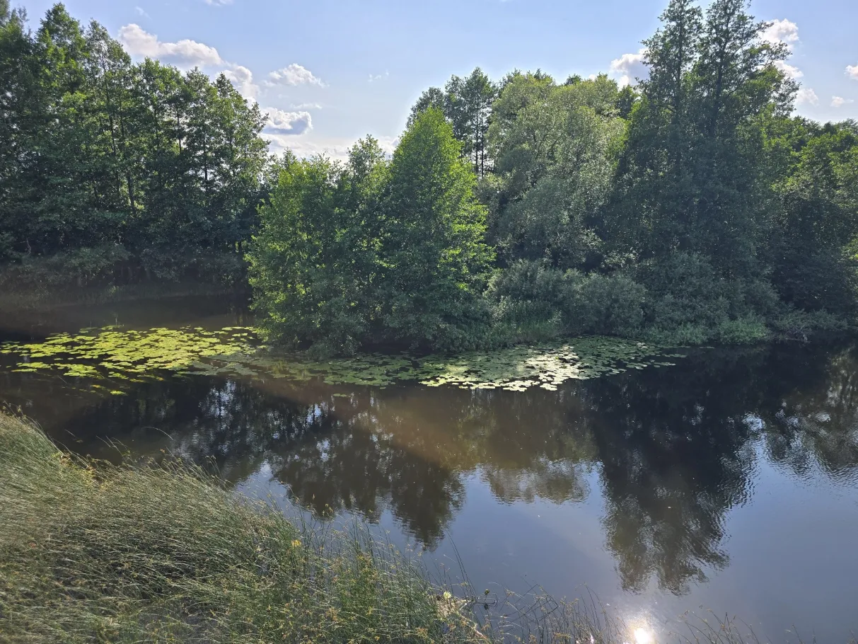 Emån (Högsby) angeln