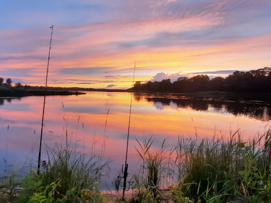 Oder (Brieskow-Finkenheerd) angeln