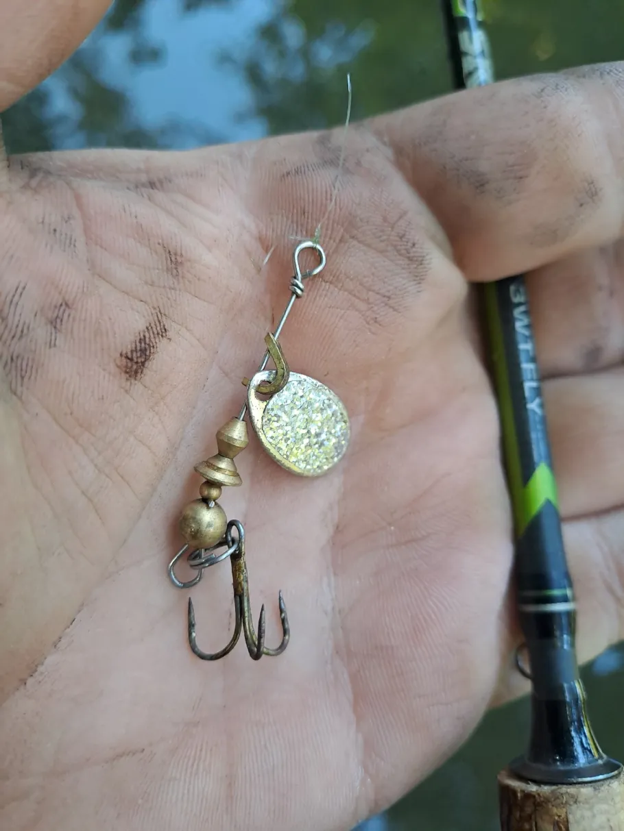 Große Triebisch (Semmelsberg) angeln