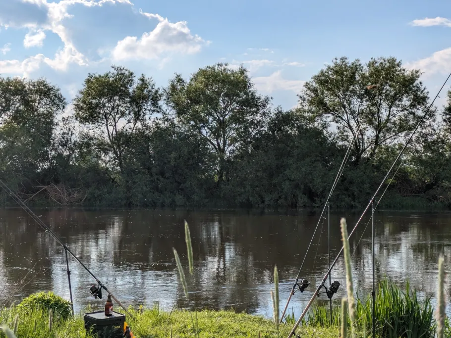 Aller (Dannenbüttel) angeln