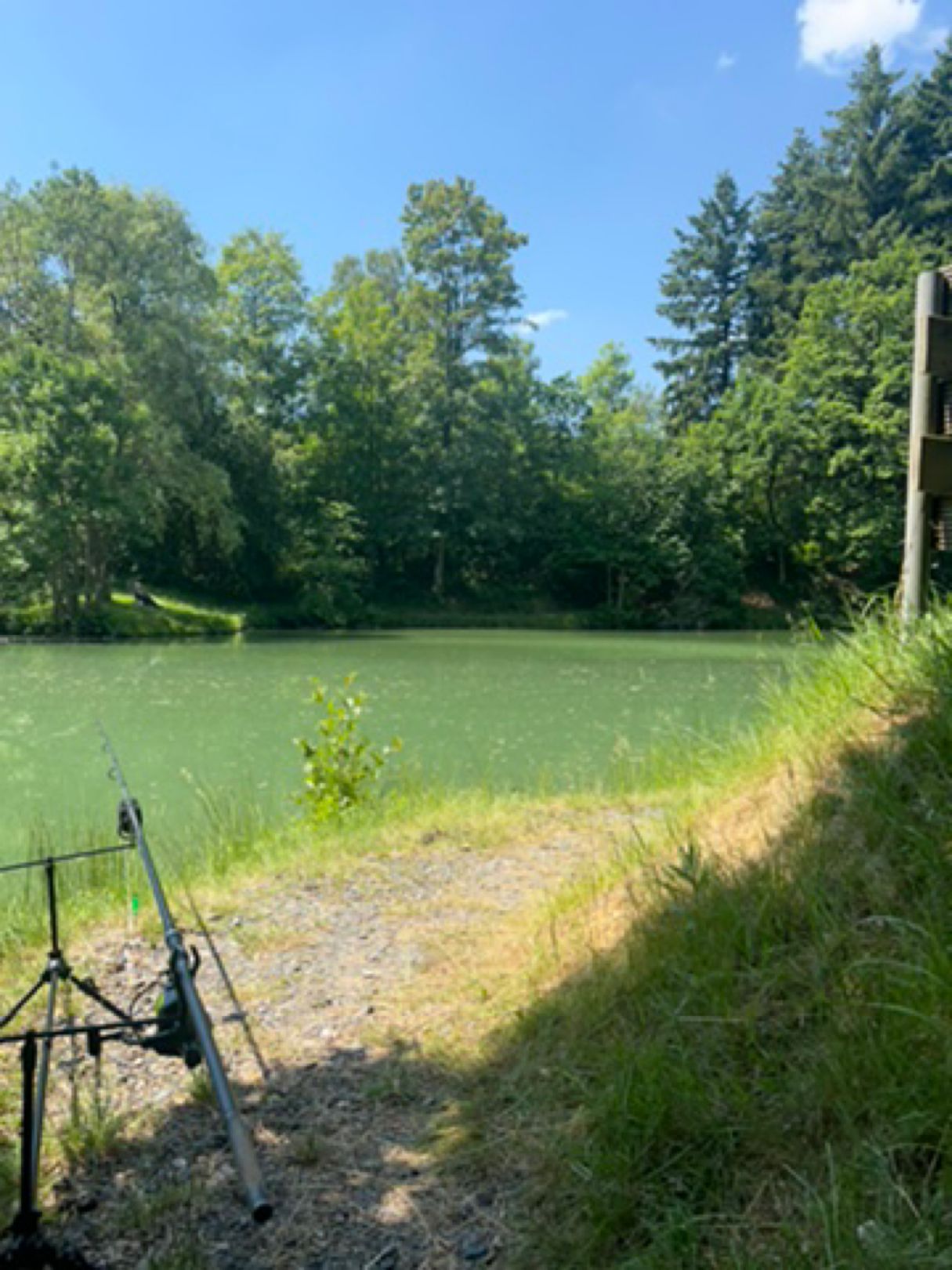 Goßer Hechtweiher (Freirachdorf) angeln