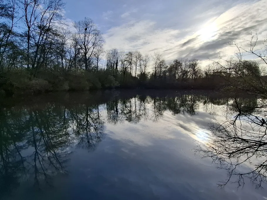 Natursee Neckarhausen angeln