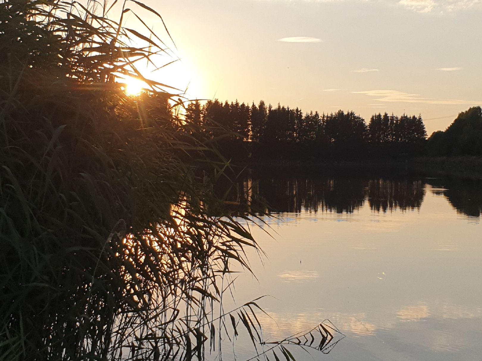 Beuthenteich angeln