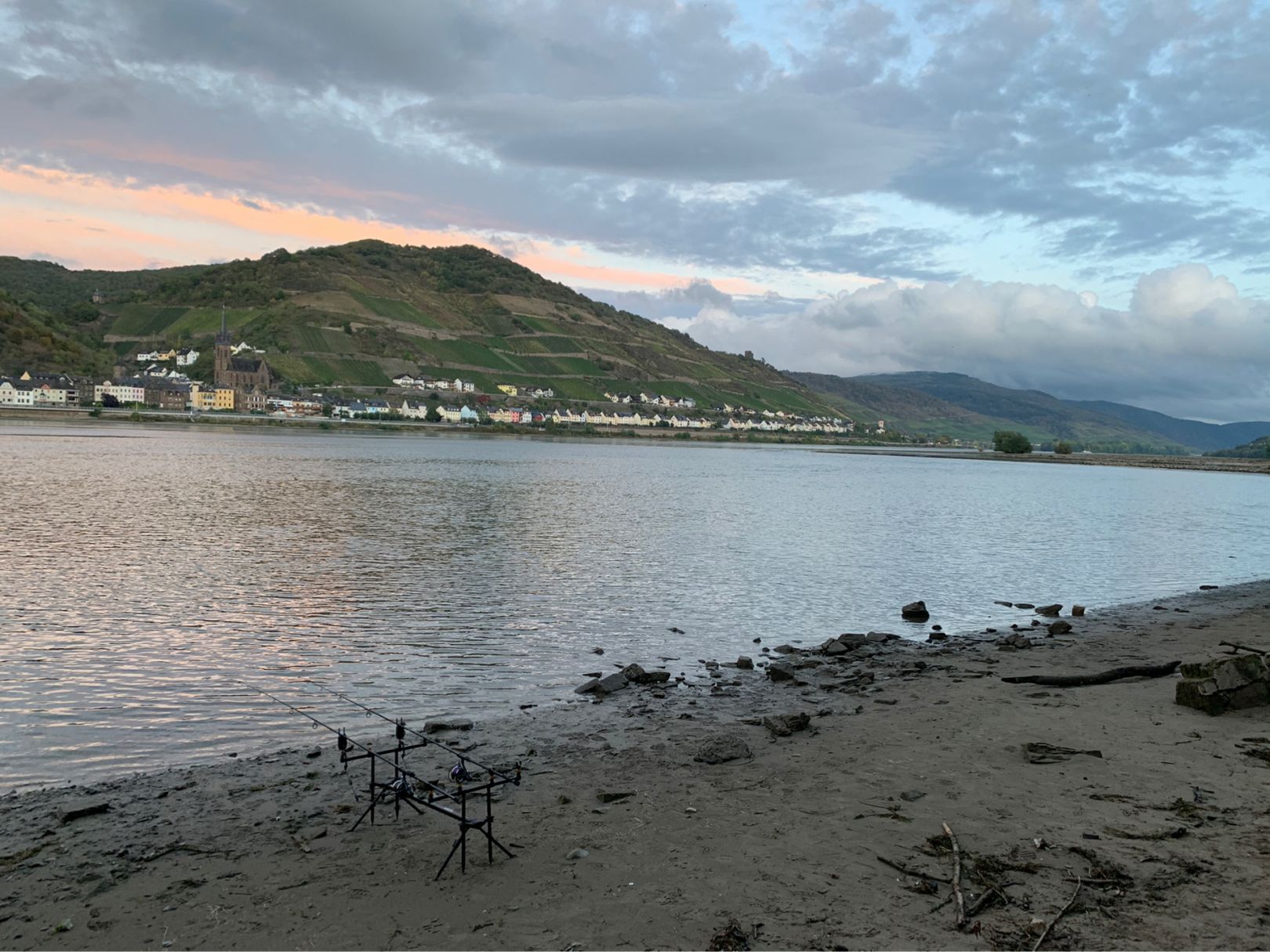 Rhein (Rheindiebach-Bacharach) angeln