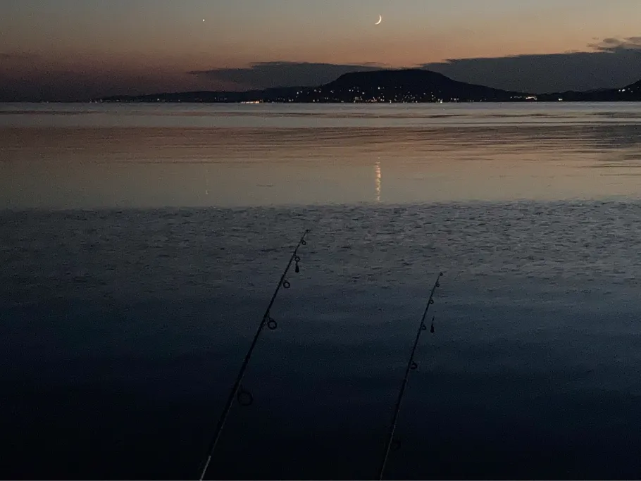 Balaton (Plattensee) angeln