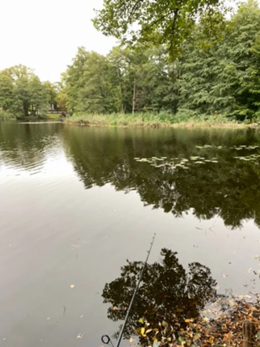 Waldsee (Berlin-Hermsdorf) angeln