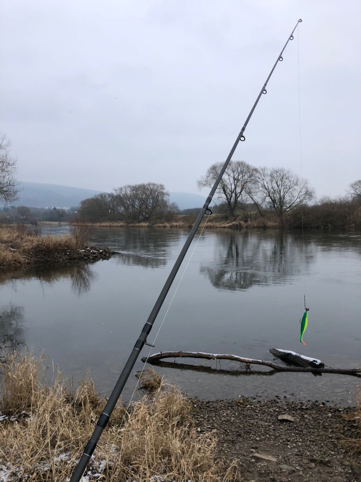 Weser (Eisbergen) angeln