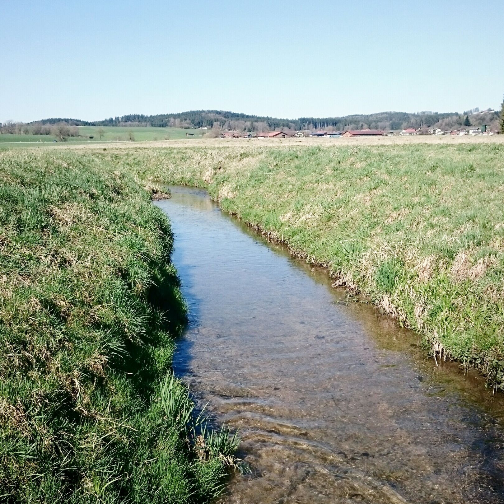 Moosbach (Högling) angeln