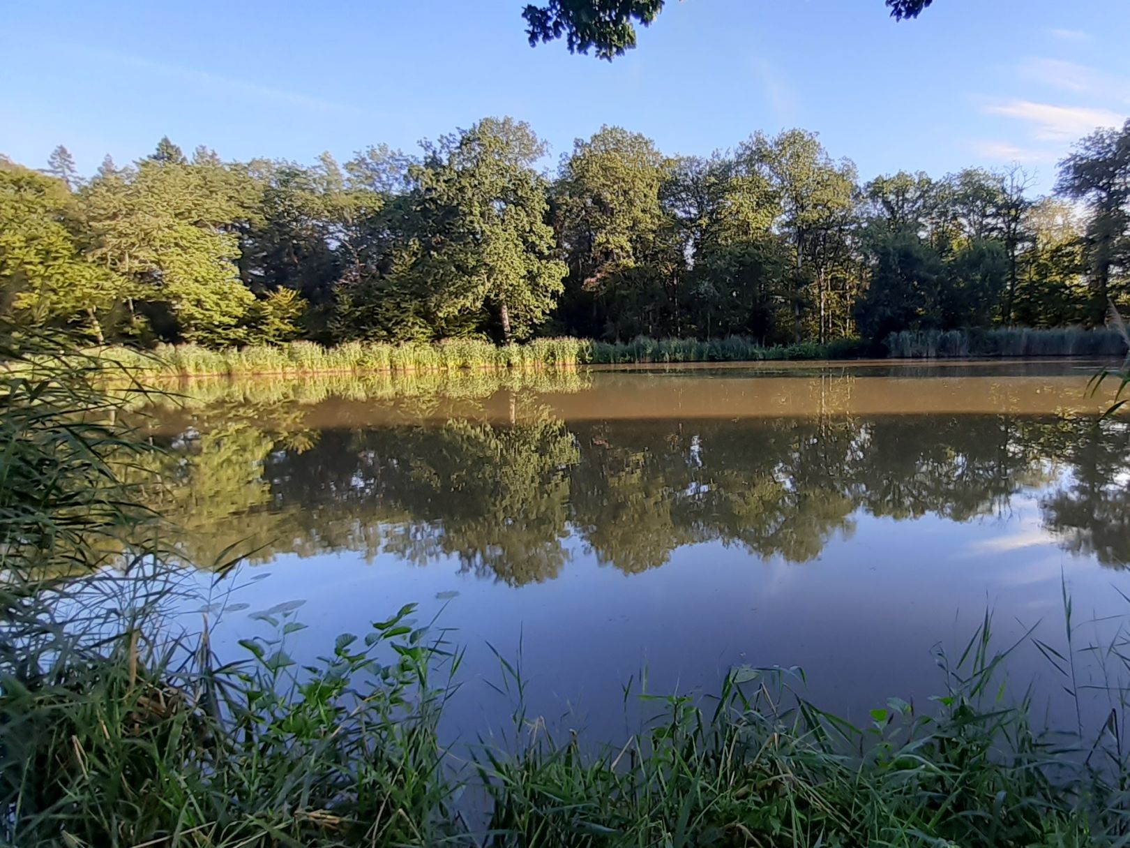 Hamberger See (Gündelbach) angeln