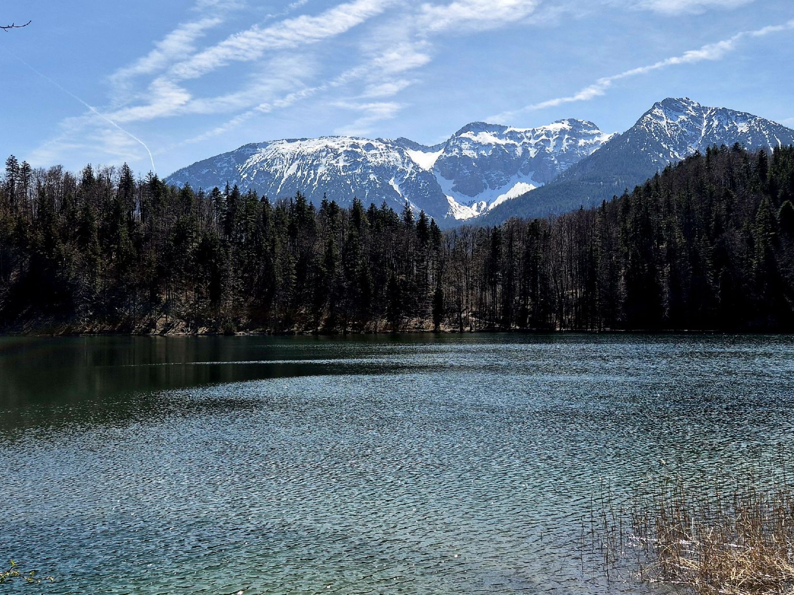Alatsee (Füssen) angeln