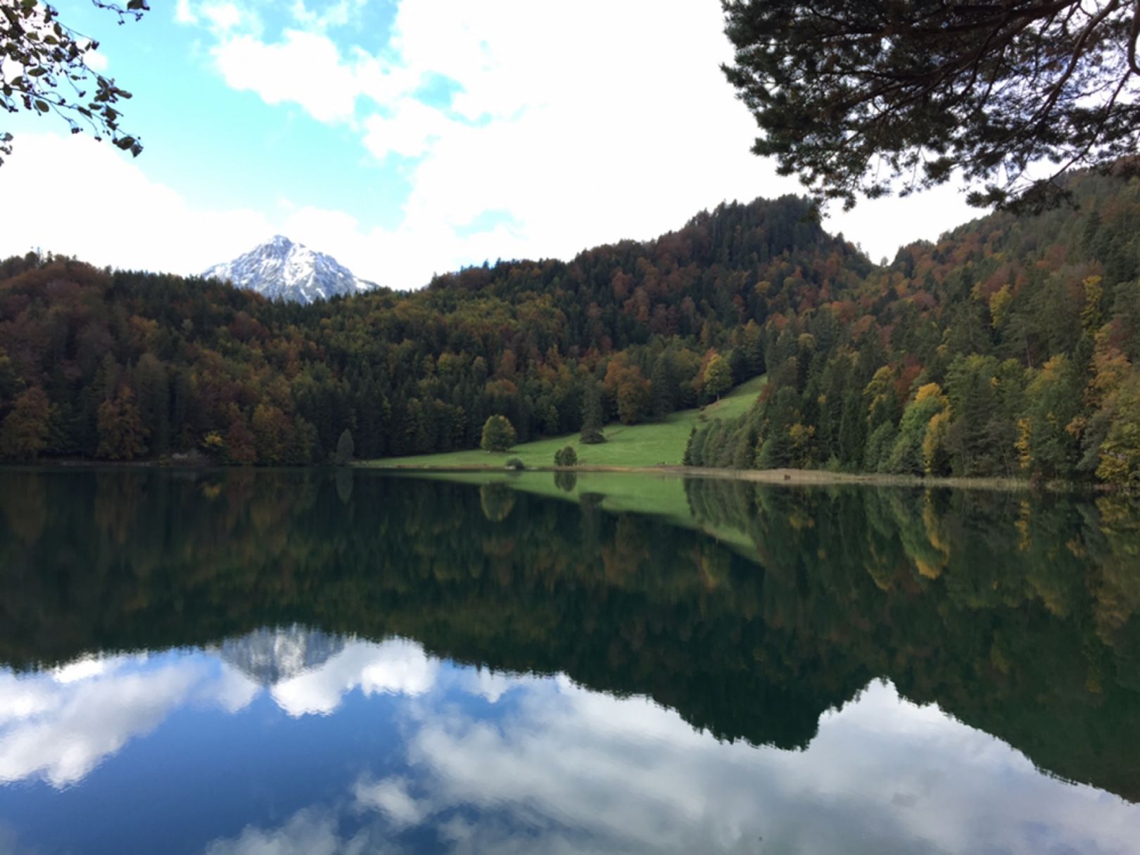 Alatsee (Füssen) angeln