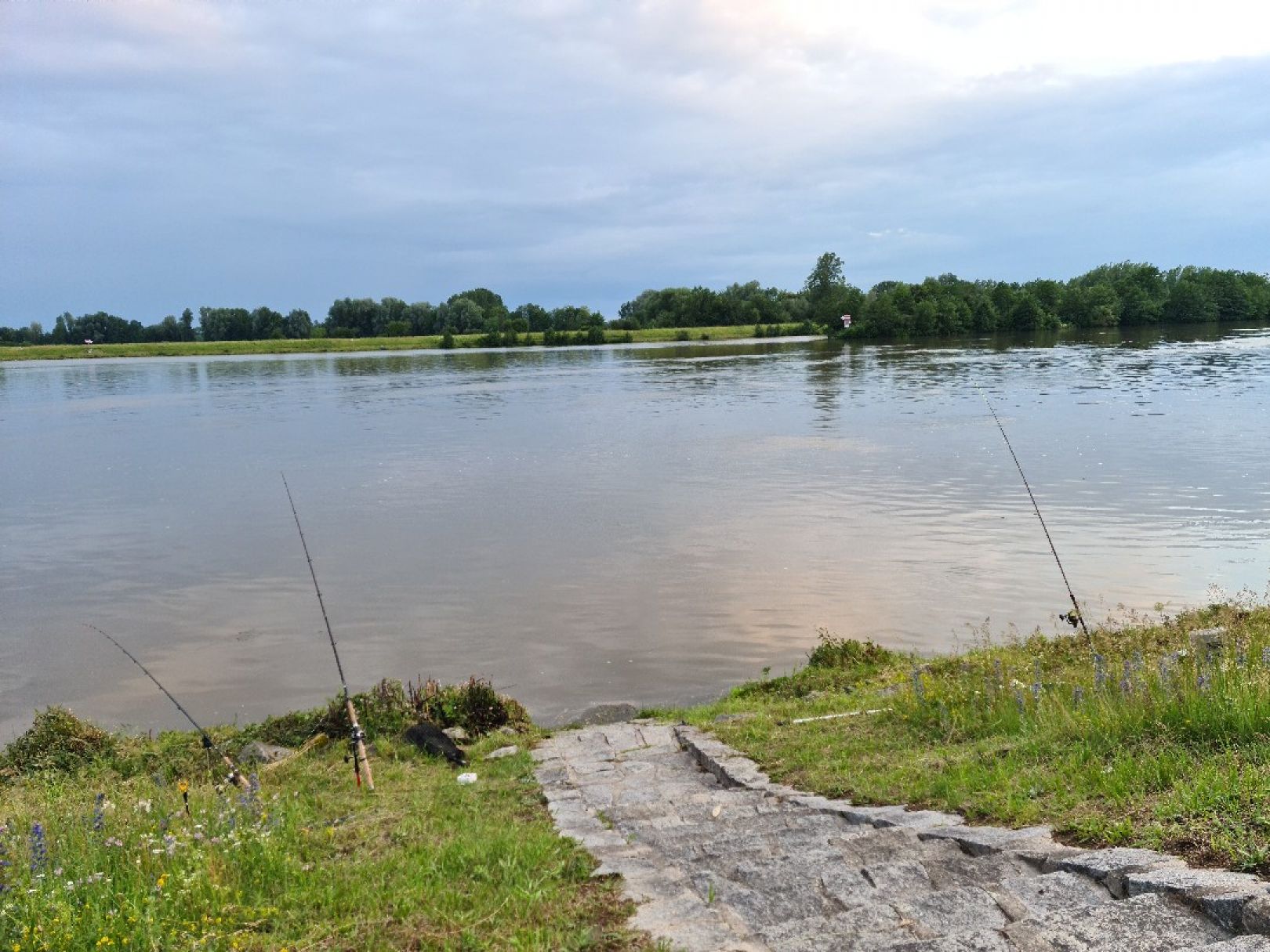 Donau (Bach an der Donau) angeln