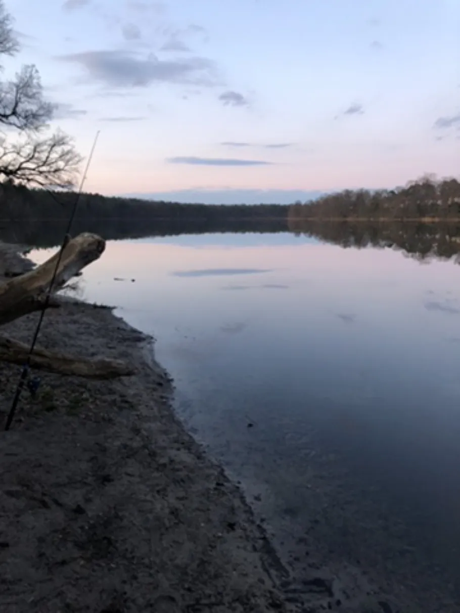 Straussee (Strausberg) angeln