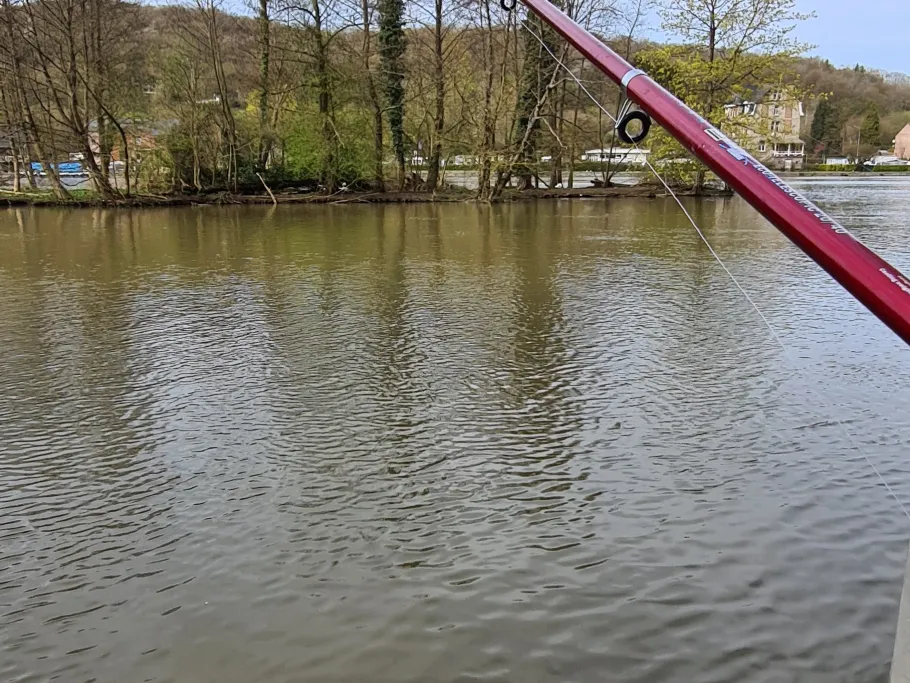 Meuse (Andenne) angeln