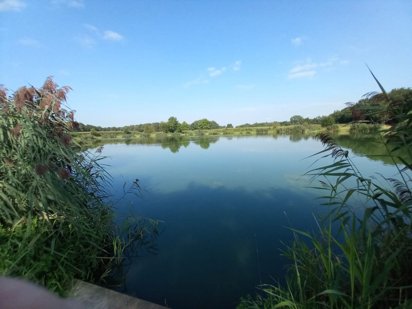 Visvijver De Groene Bleek angeln