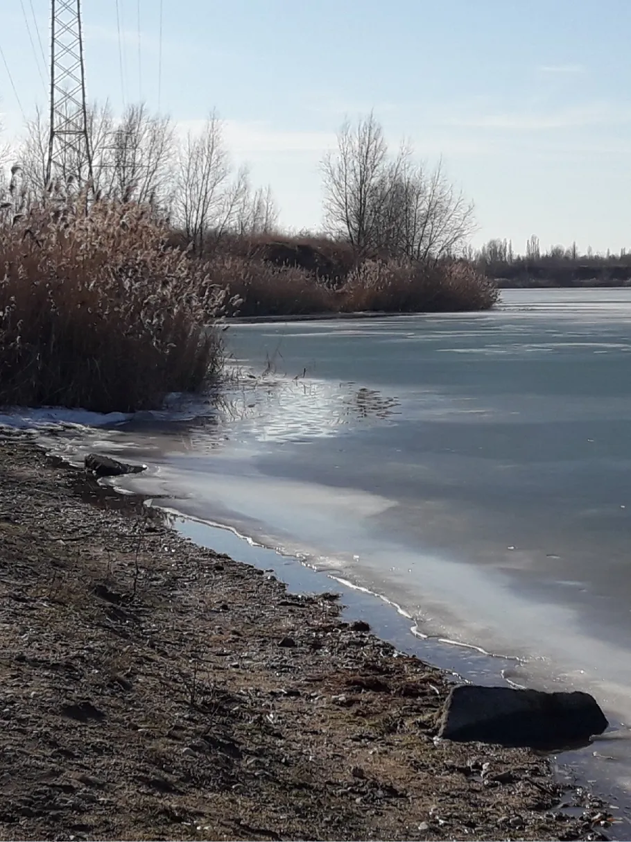 Kiesgrube Serbitz angeln