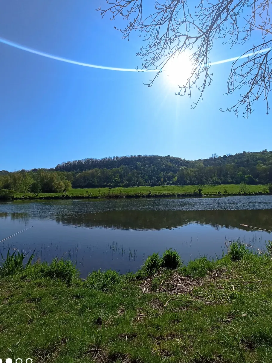 Saale (Friedeburg) angeln