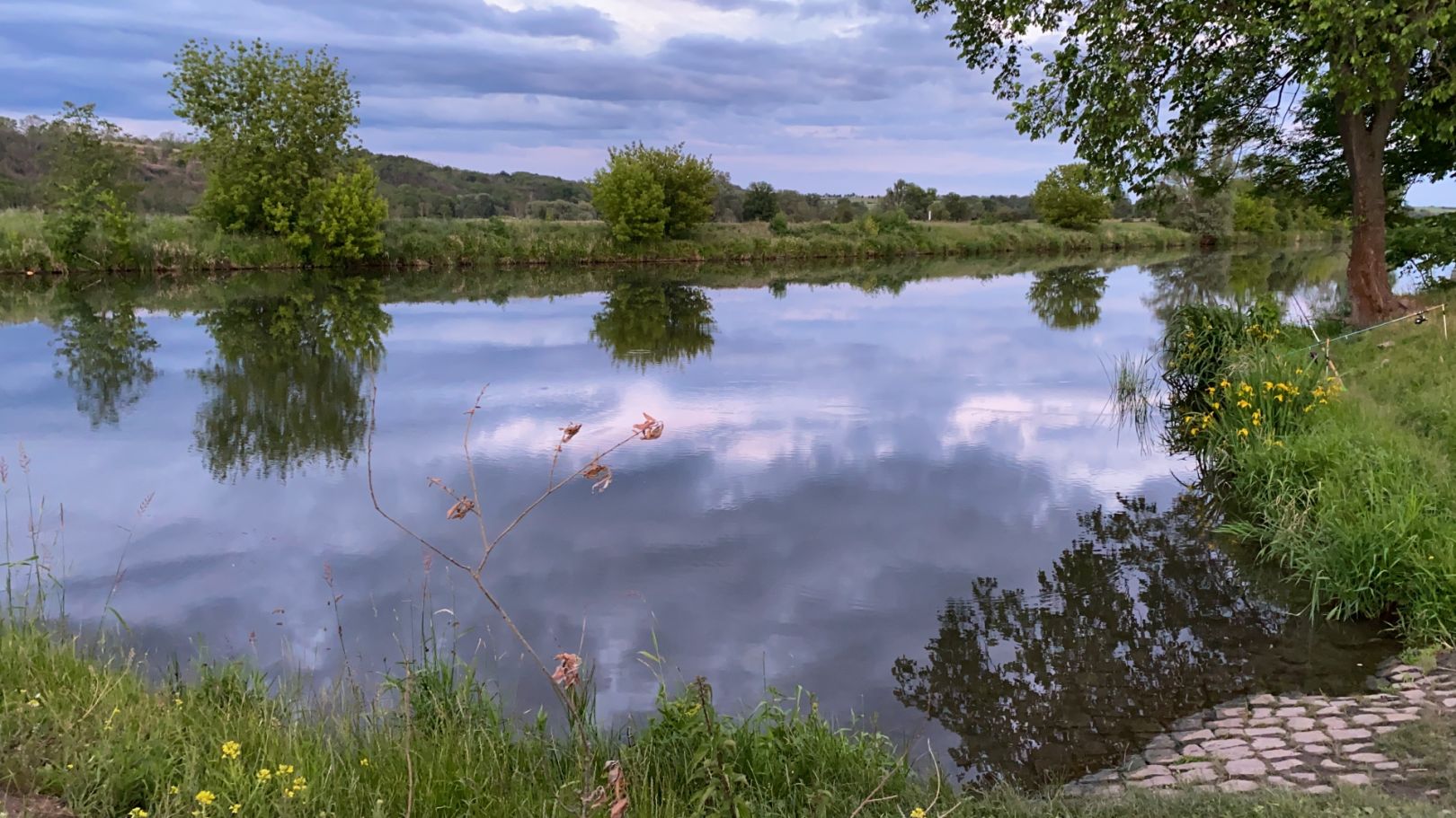 Saale (Friedeburg) angeln