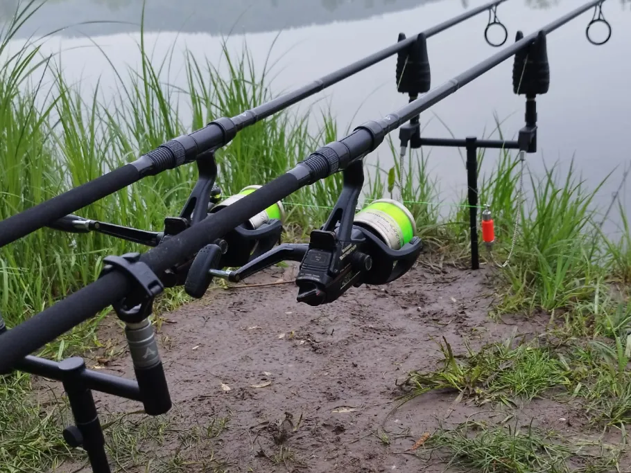 Wiesen-Kiesgrube Immelborn angeln