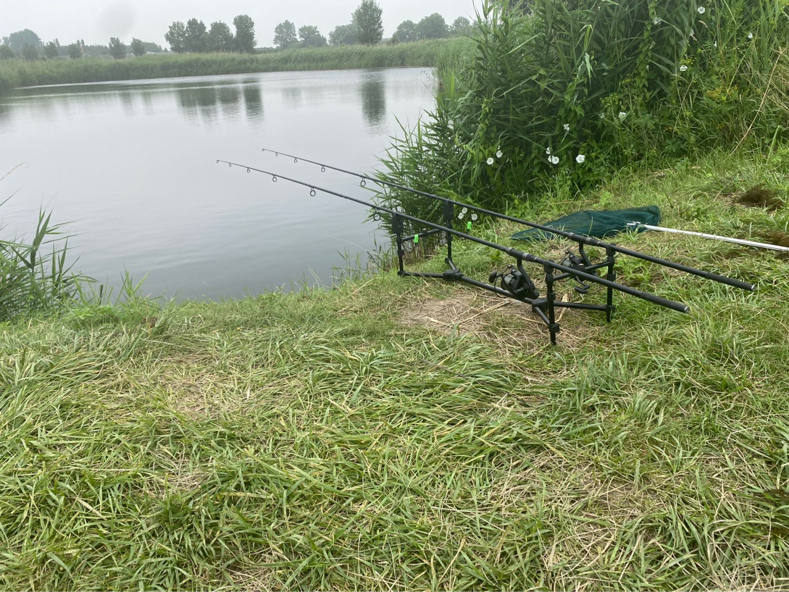 Fauler See (Groningen) angeln