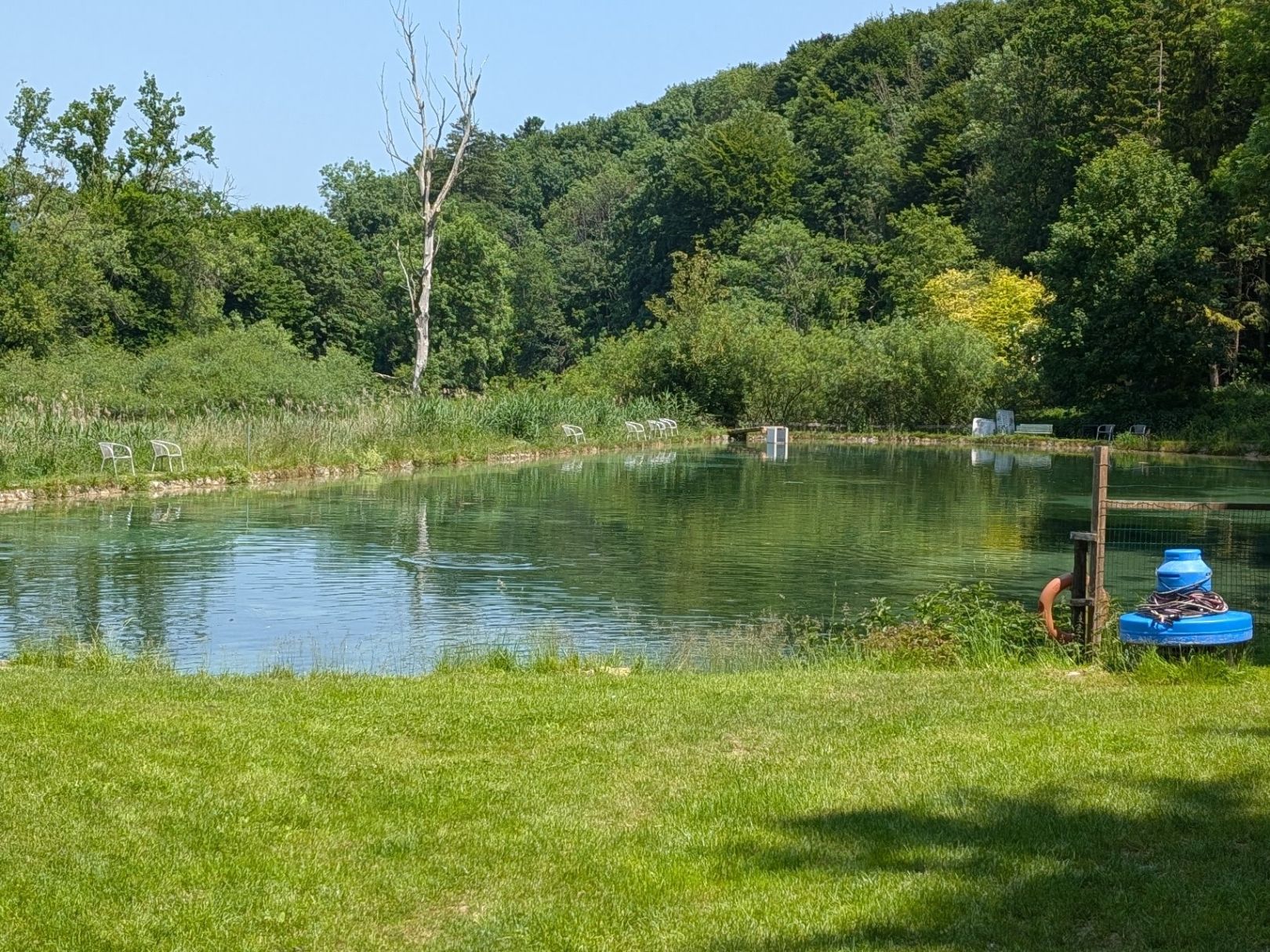 Matze's Fisch- und Angelpark angeln