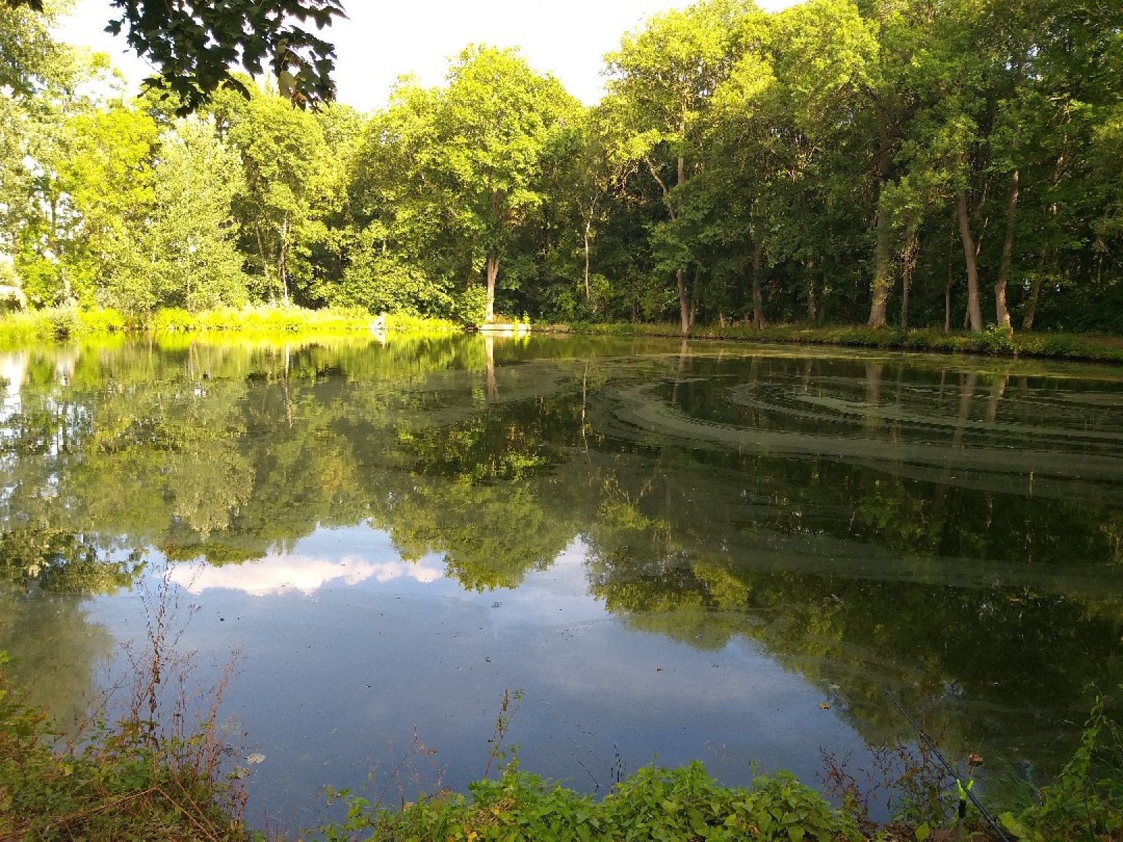 Parkteich Meyendorf angeln