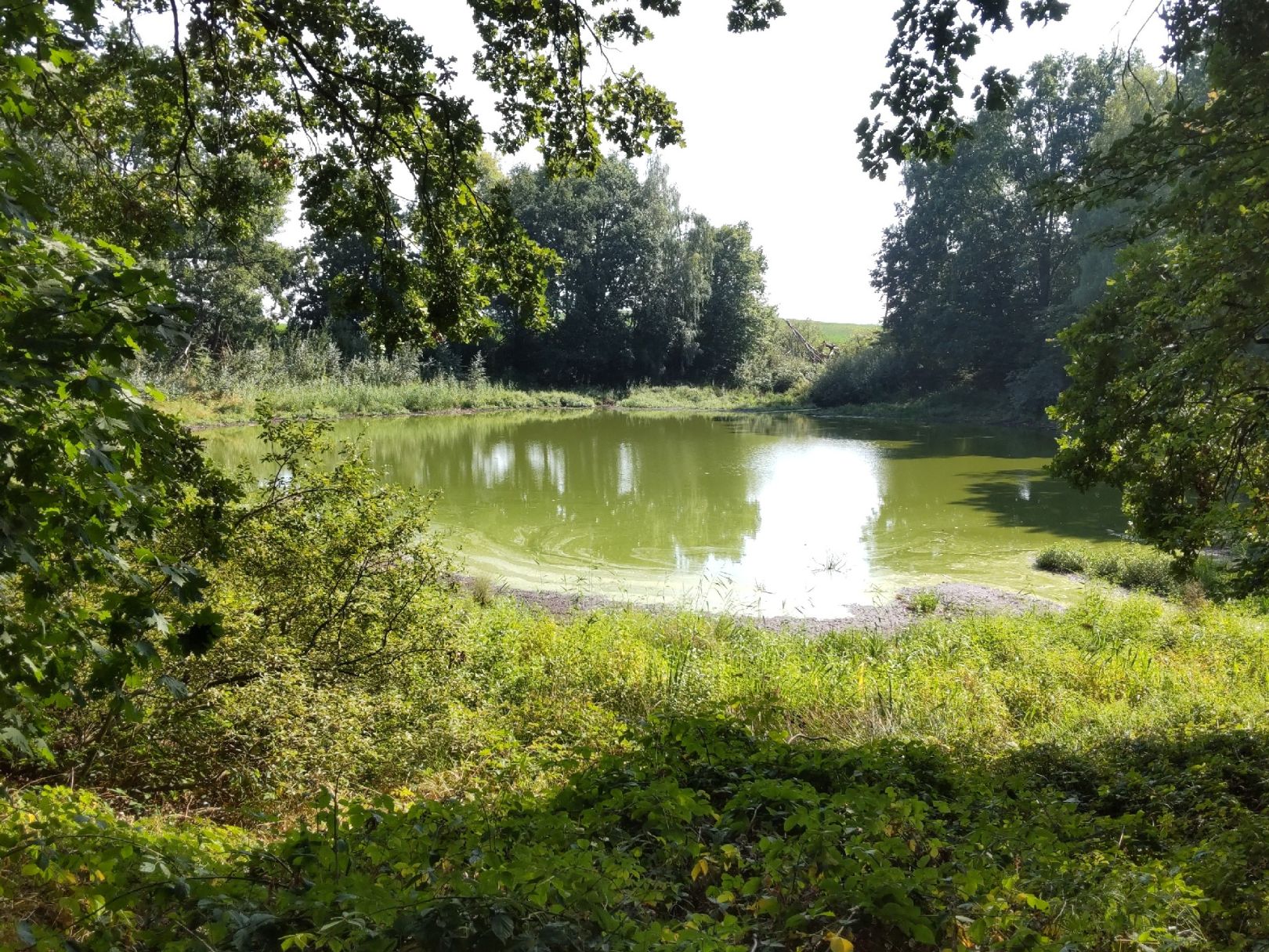 Schwarze Kuhle (Altkünkendorf) angeln