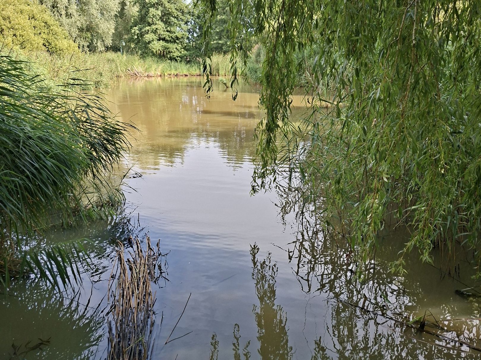 Rückhaltebecken Meierhof angeln