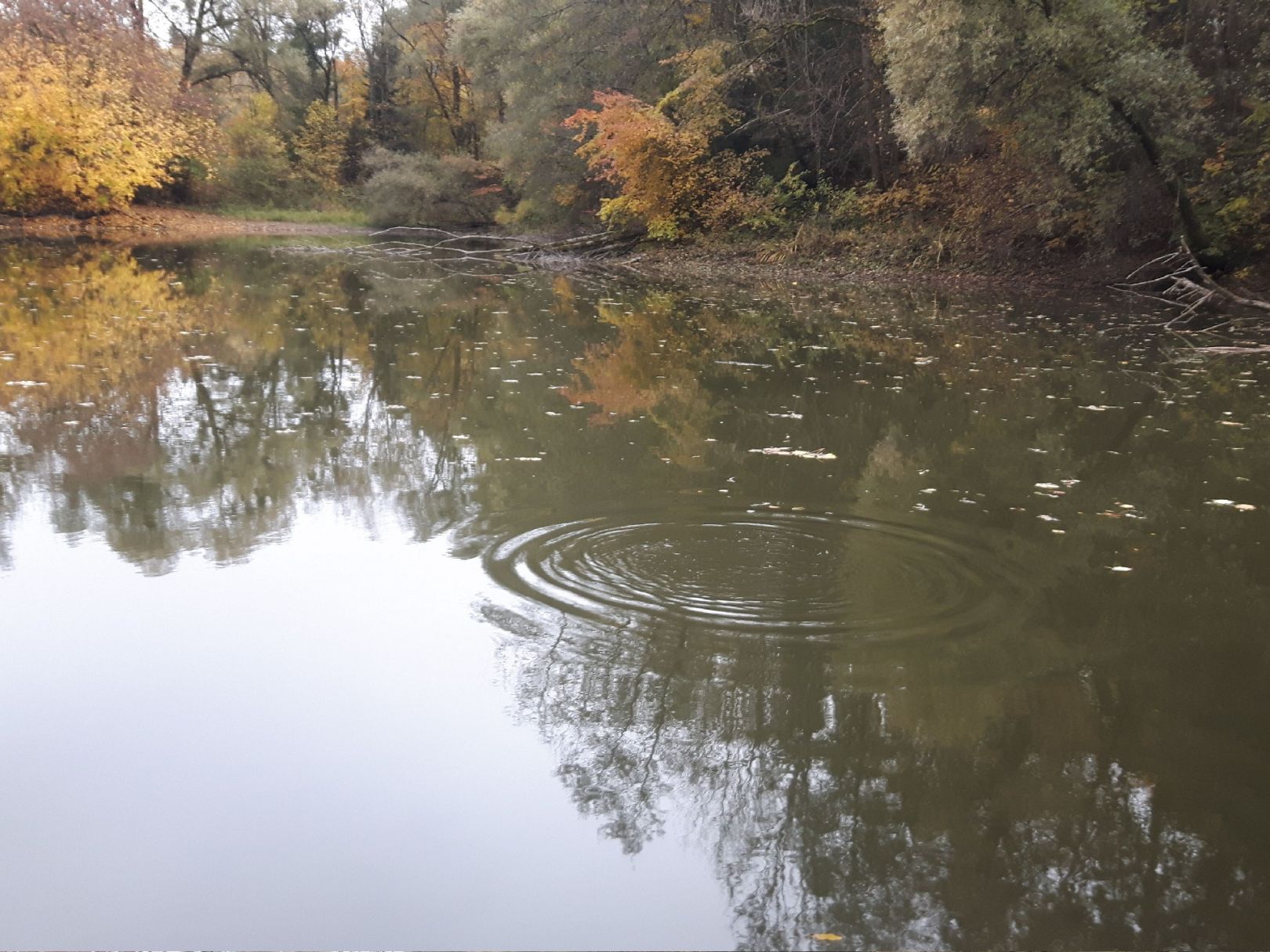 Ziegelweiher Lochhausen angeln