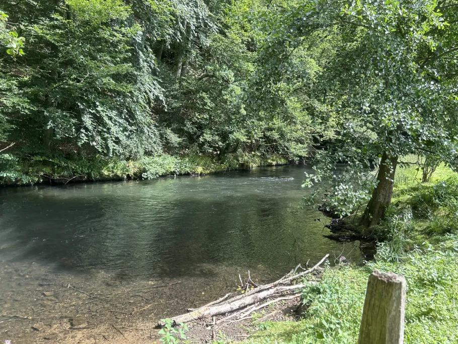 Wupper (Radevormwald) angeln