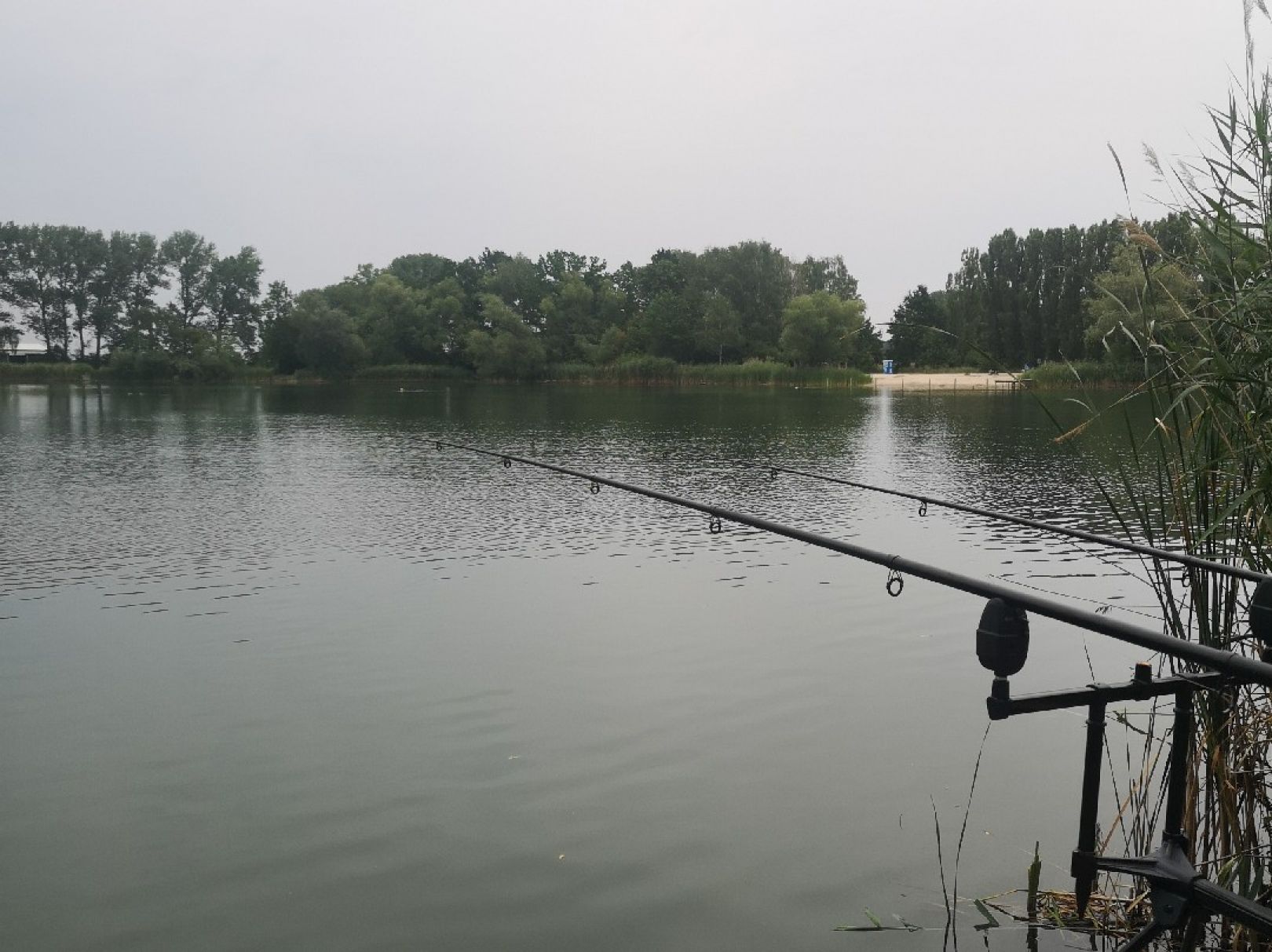 Tonsee (Mittenwalde) angeln