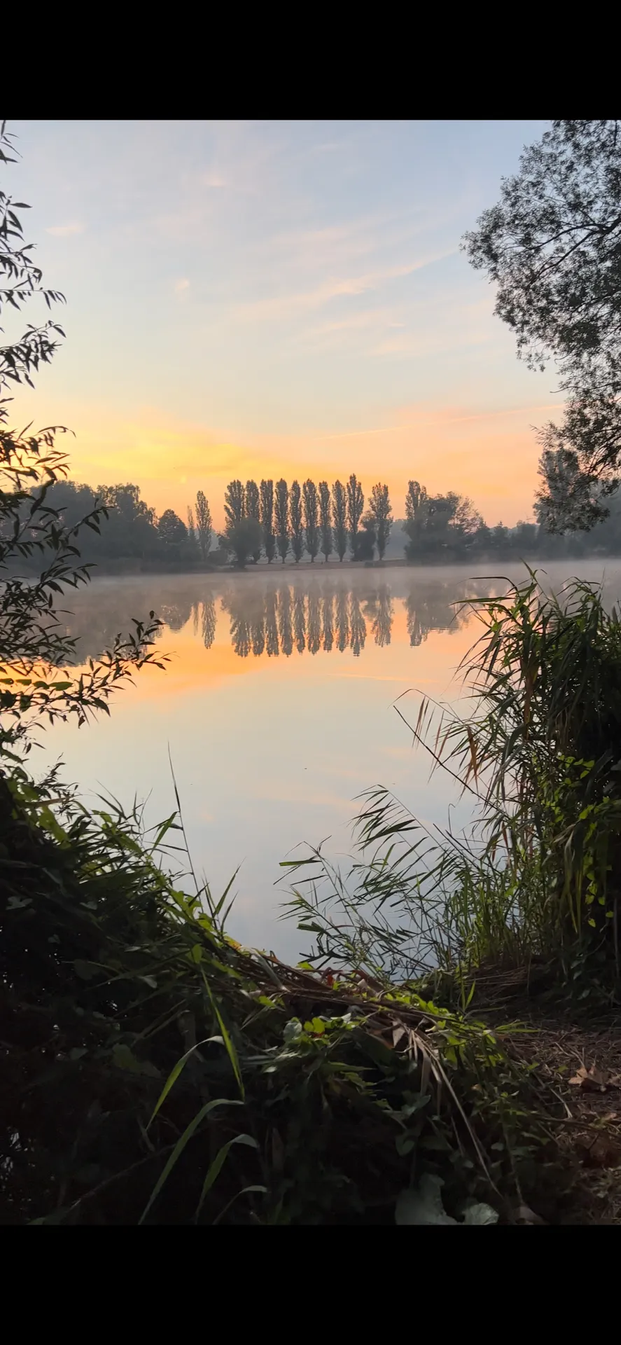 Tonsee (Mittenwalde) angeln