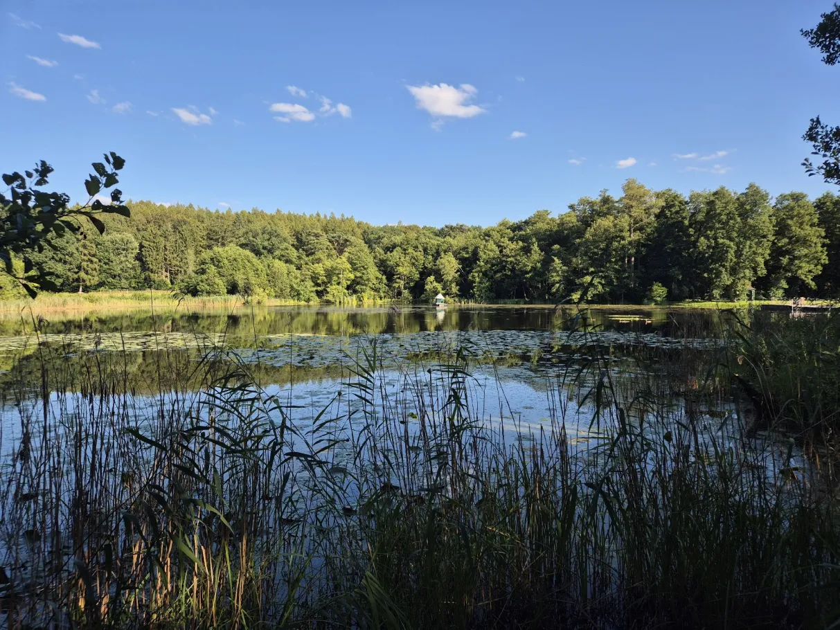 Rothsee (Wendorf) angeln
