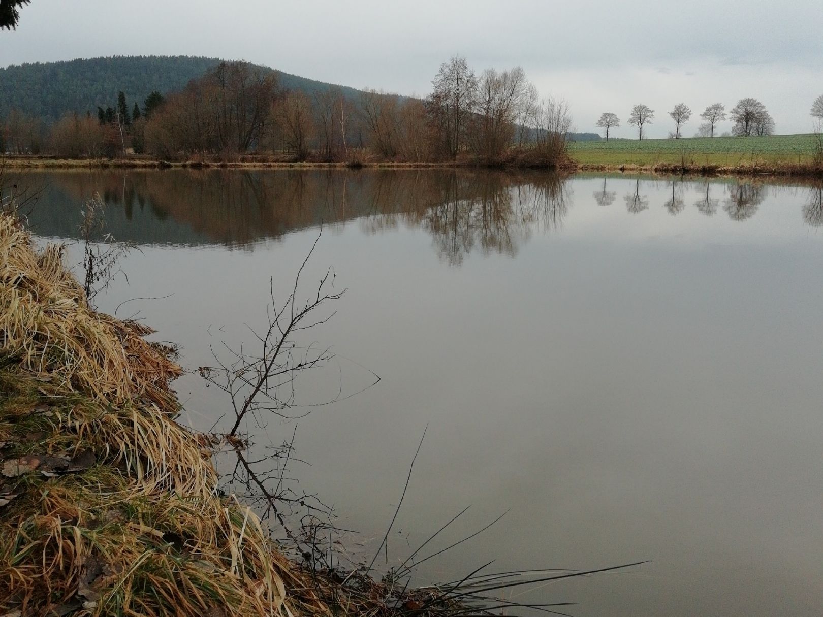 Teichanlage Birkach angeln