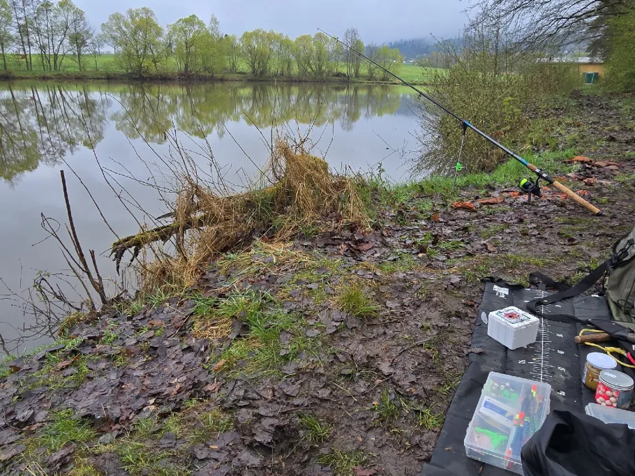 Teichanlage Birkach angeln