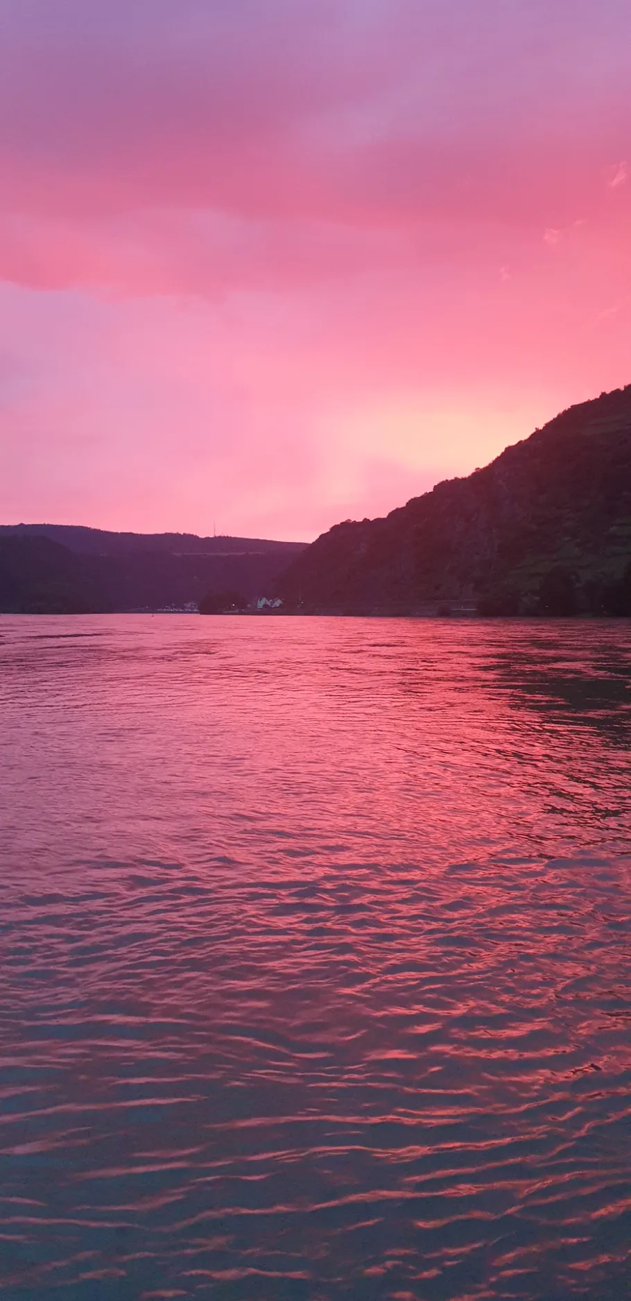 Rheinhafen Fellen angeln