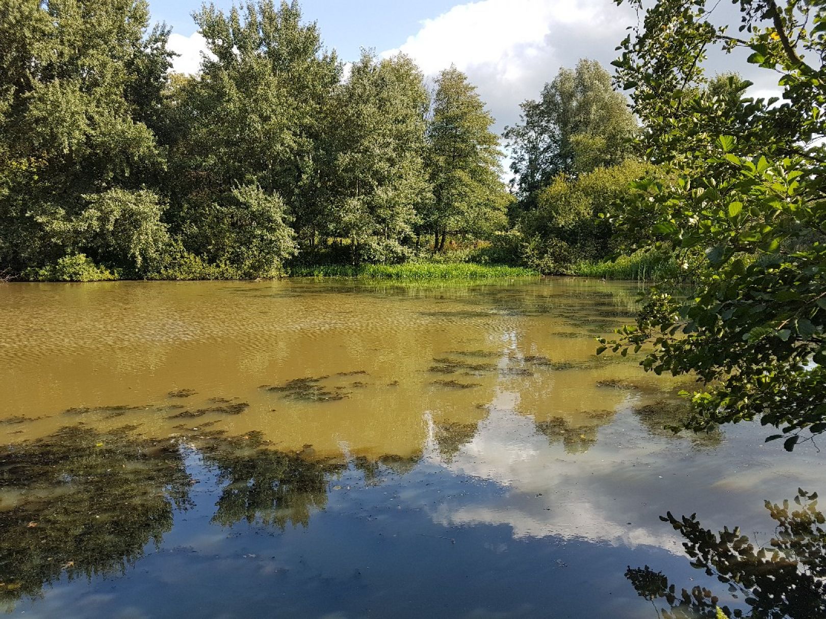 Rückhaltebecken Sinstorf angeln