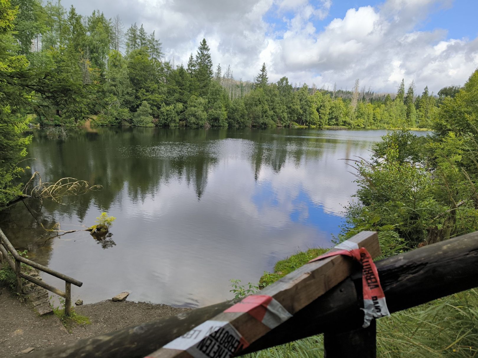 Silberteich (Braunlage) angeln