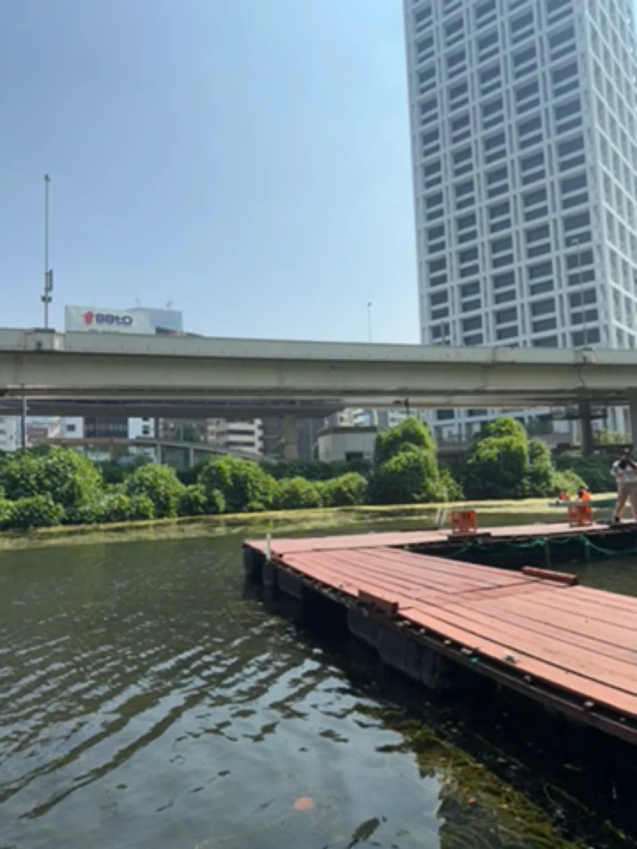 Arakawa (Tokio) angeln