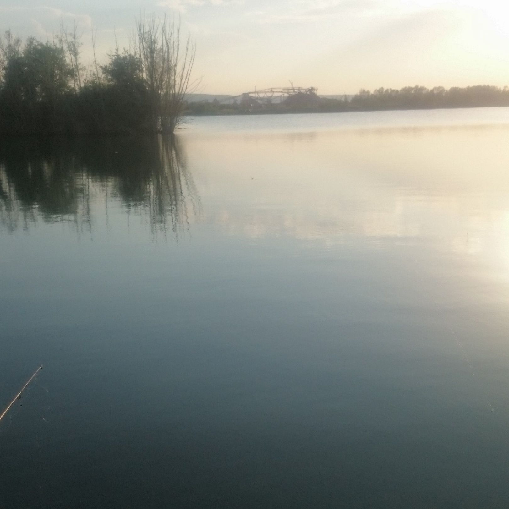 Riedsee (Geratal Kies) angeln