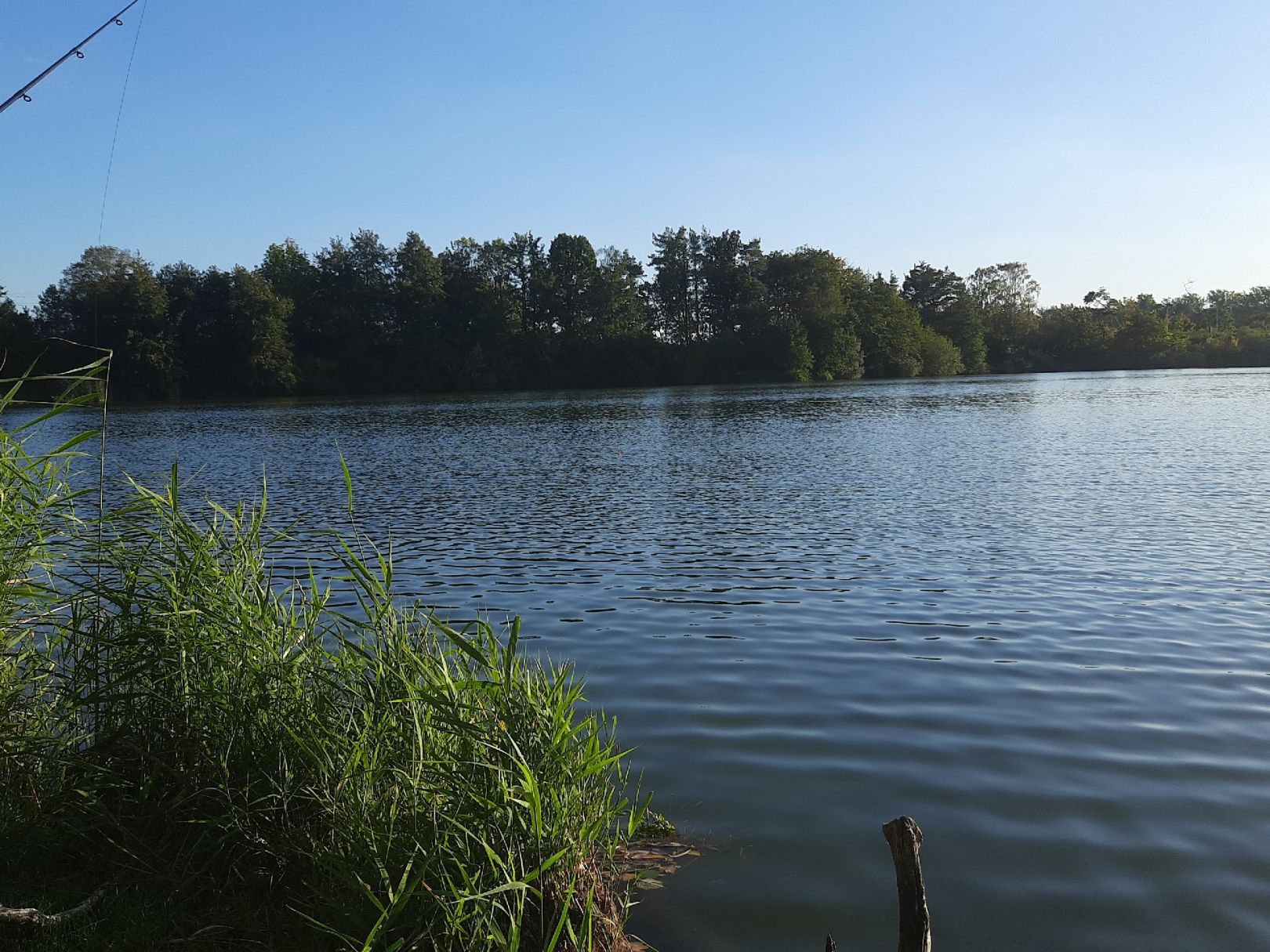 Großer See (Sonnenberg) angeln