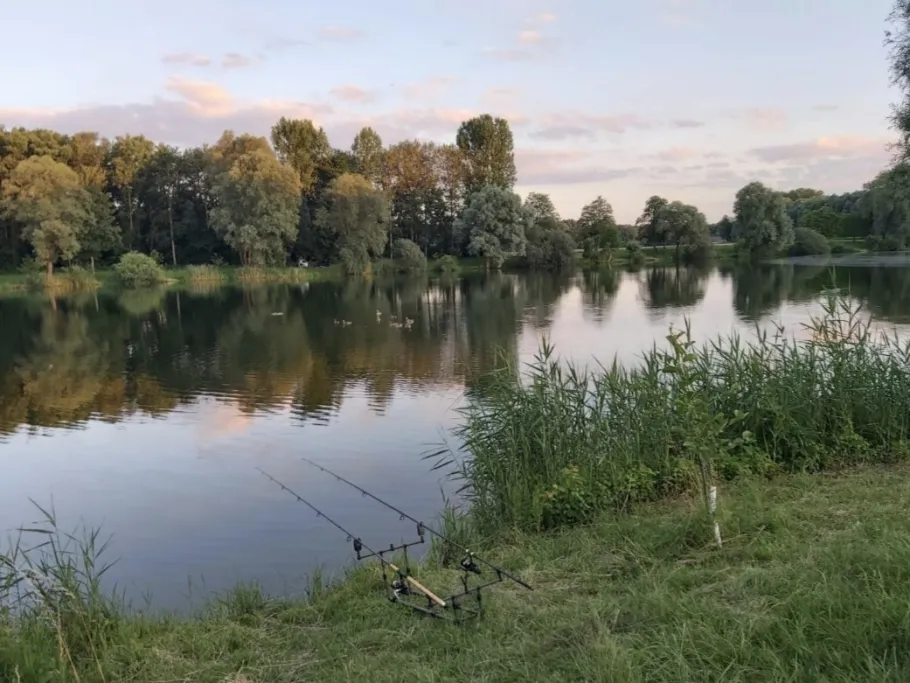 Sonderheimer See angeln