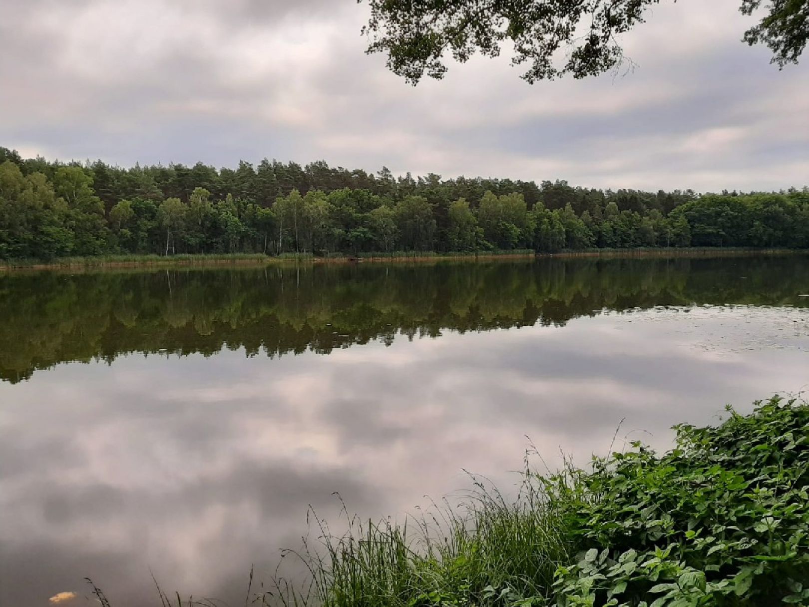 Haussee (Beerenbusch) angeln