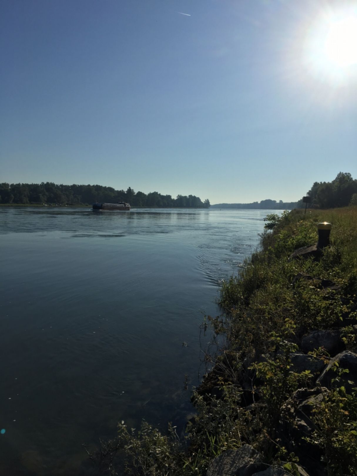 Rhein (Au am Rhein-Neuburgweier) angeln