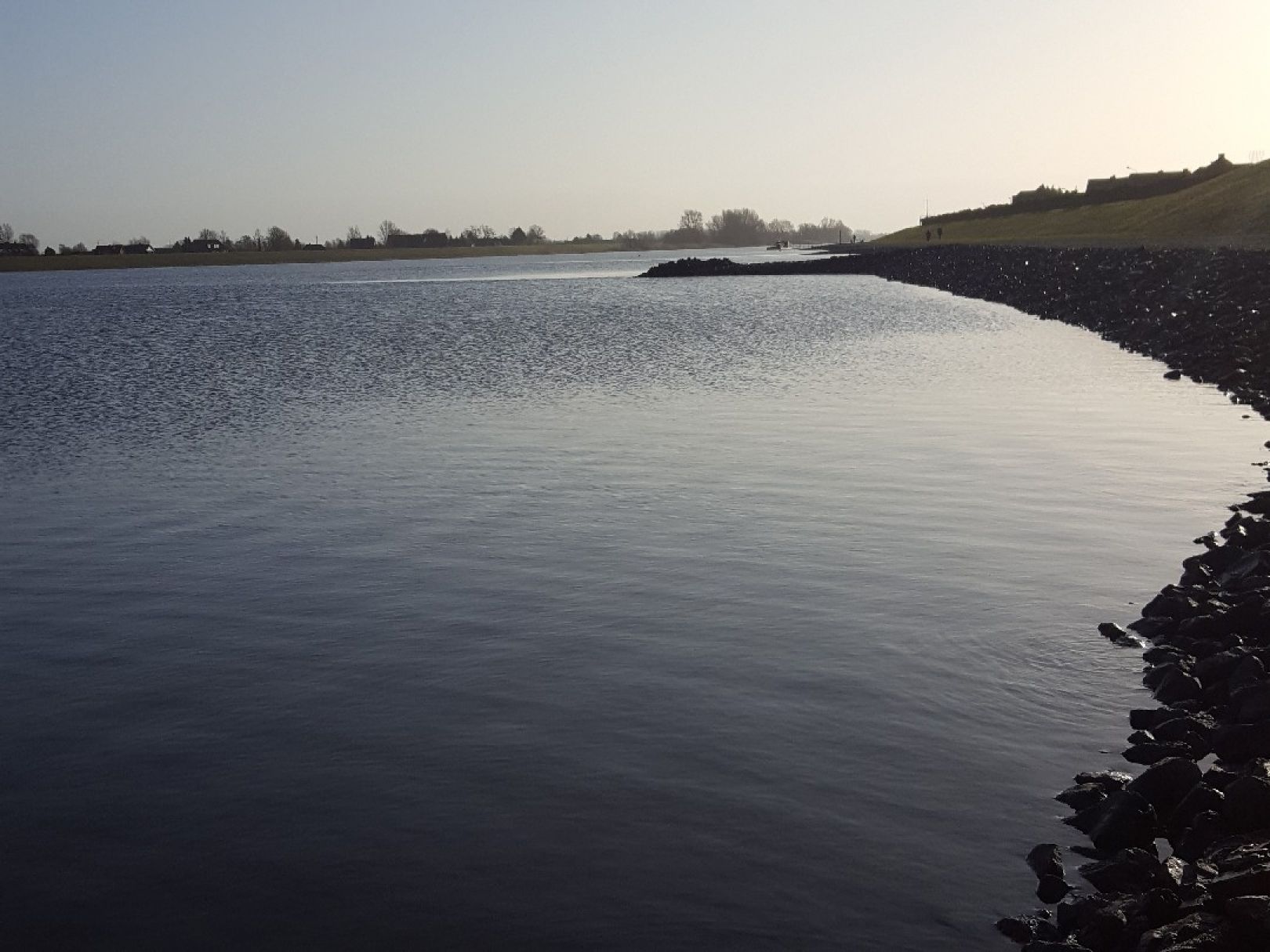 Elbe (Lauenburg Elbe) angeln