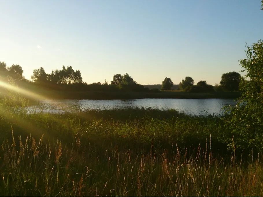 Teich bei Liessow angeln