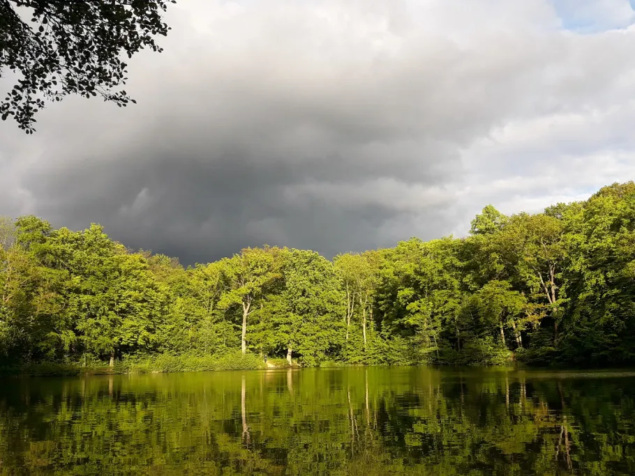 Glockenteich (Ballenstedt) angeln