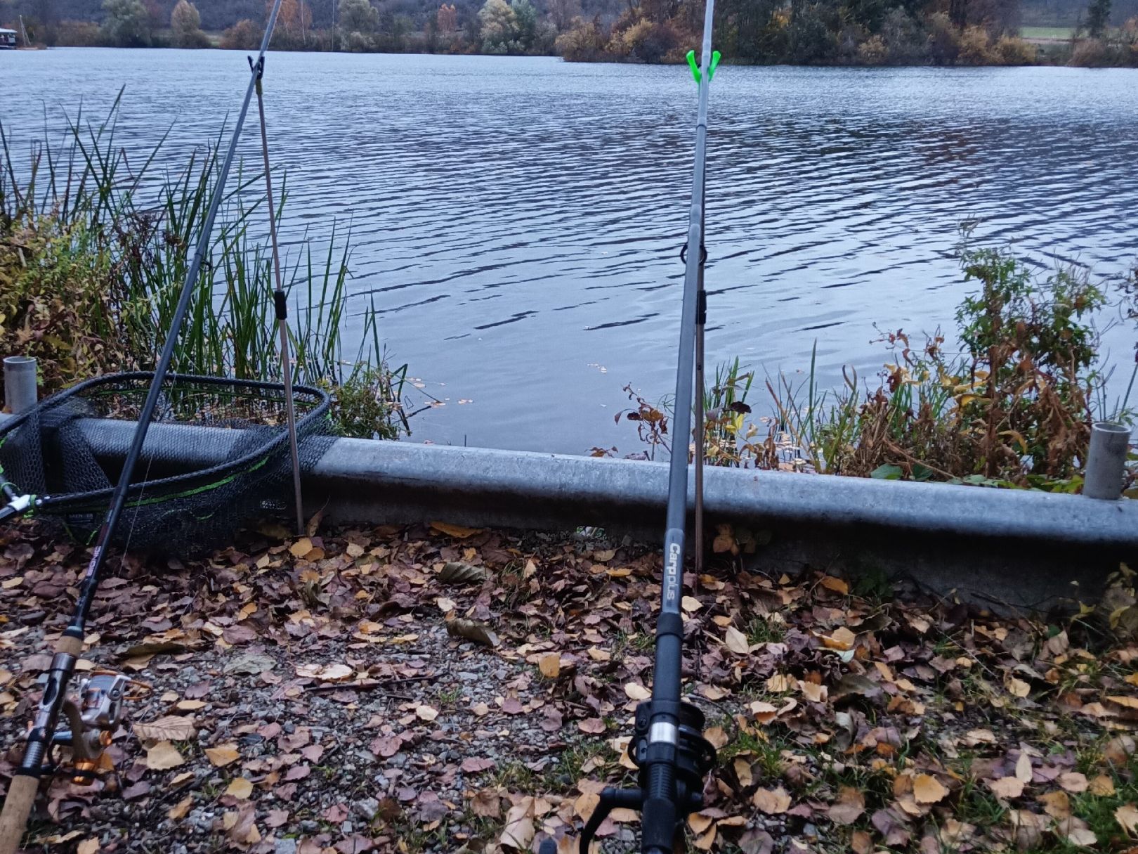 Meinhardsee angeln