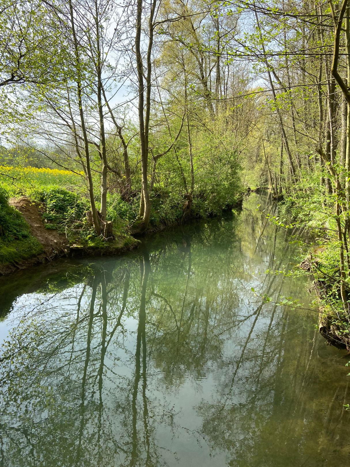 Schwabach (Stöckach) angeln